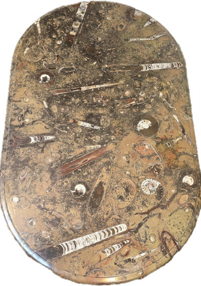 Wunderschöner hellbrauner Fossiltisch