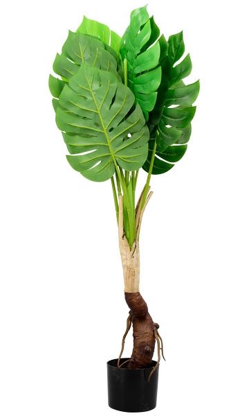 Philo Tree 100 cm