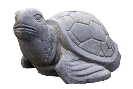 Steinschildkröte