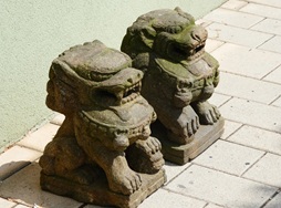 Tempellöwen
