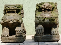 Tempellöwen